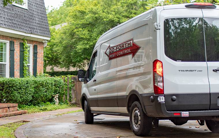 company van