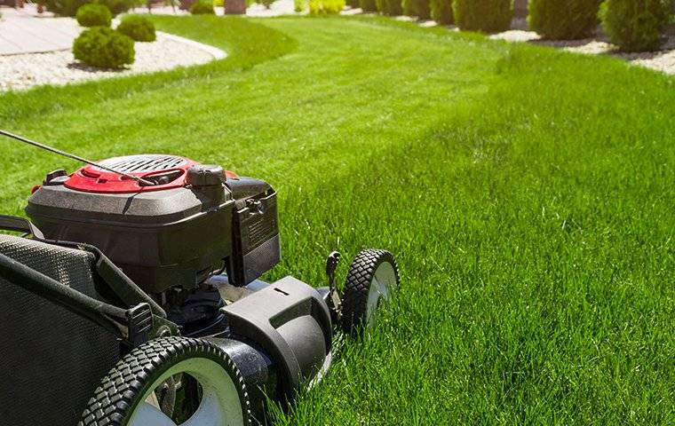 a lawn mower cutting grass