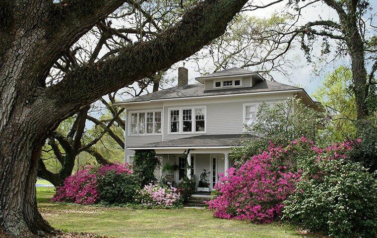 house in apex north carolina