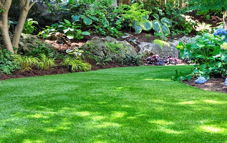 manicured lawn