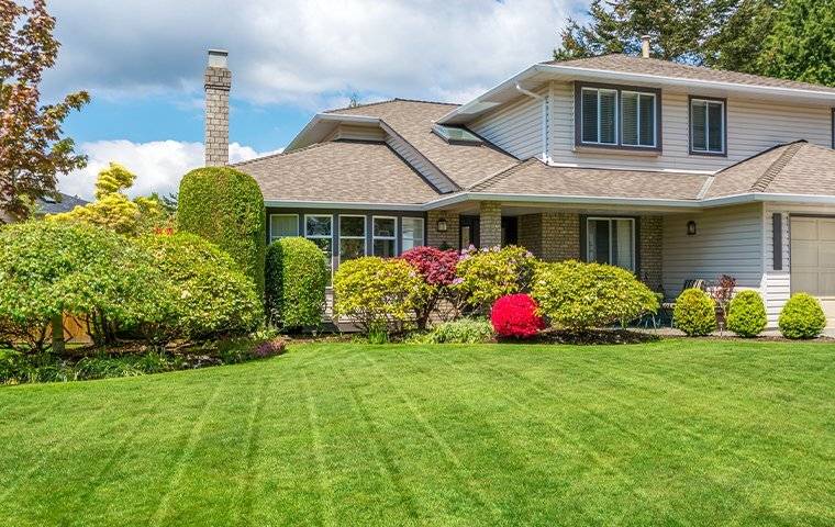 green lawn and landscaping near home