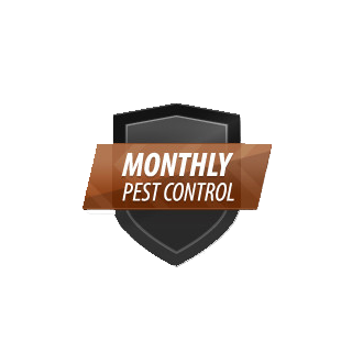 monthly plan icon