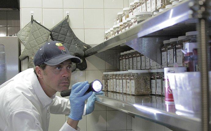 technician inspecting commercial kitchen