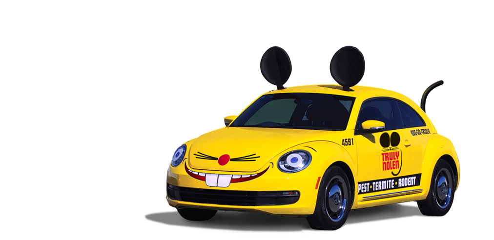 truly nolens yellow mouse car