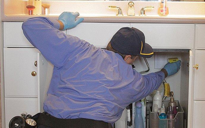 a pest control expert inspecting a kitchen