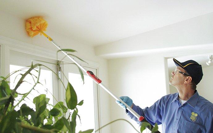 a pest technician removing spider webs in a home