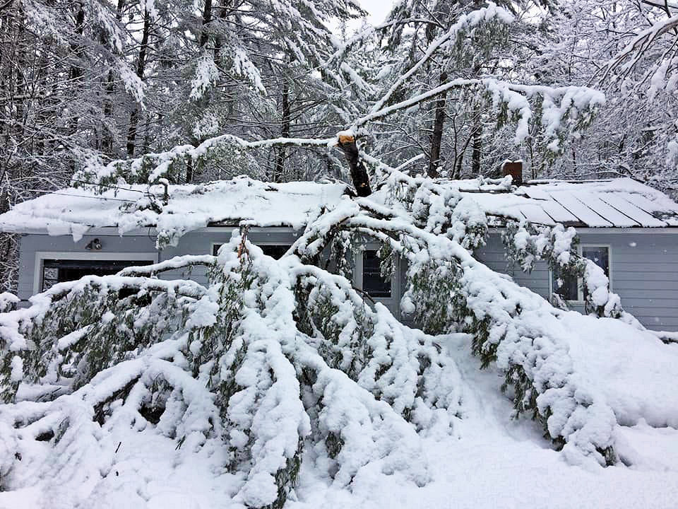 Winter Storm Damage