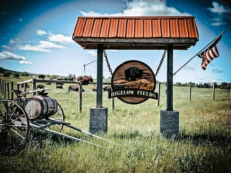 Bigelow Bison Farm