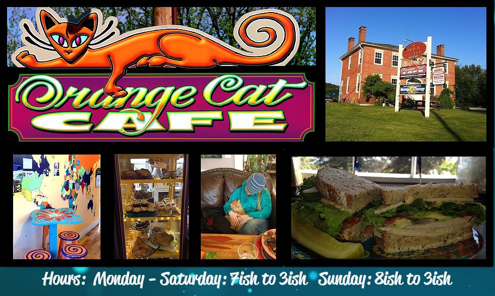 Orange Cat Cafe Orange Cat Cafe