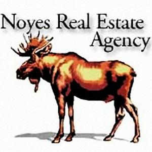 Noyes Real Estate Agency