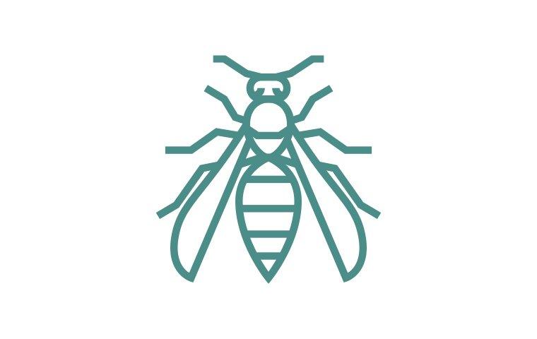 stinging insect icon