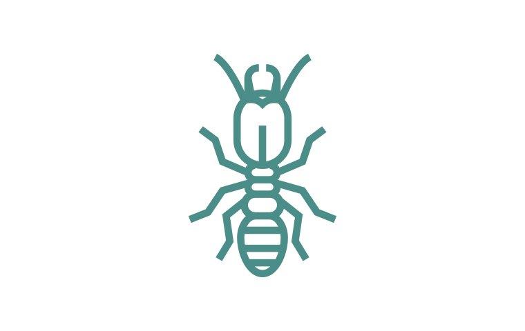 termite icon