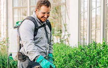 dewebbing service on home