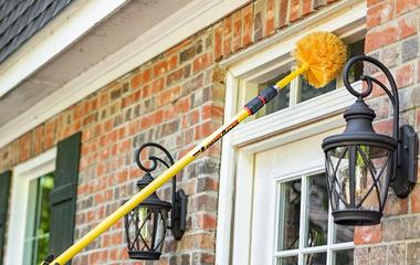 dewebbing service on home