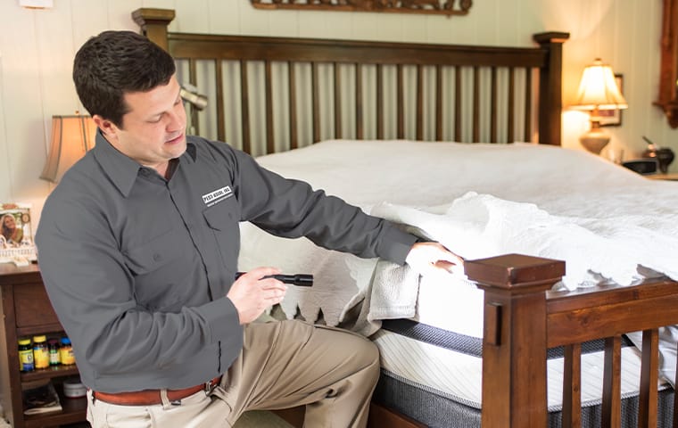 a technician inspecting a mattress for bed bugs in boca raton florida