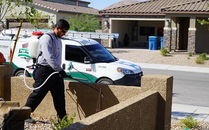 Our Treatments Are Thorough And Guaranteed technician treating exterior