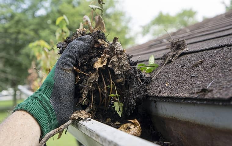 a sacramento home owner cleaning out gutters