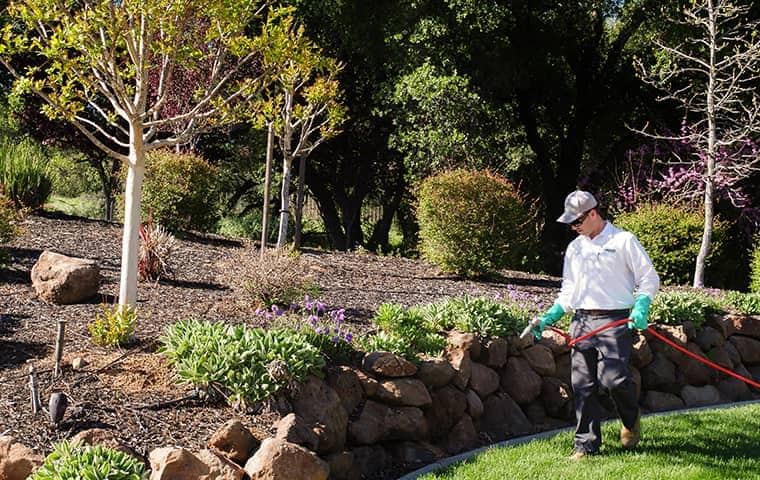 technician spraying a sacramento yard