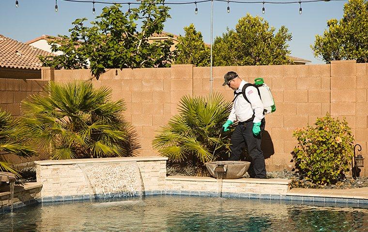 technician treating near swimming pool