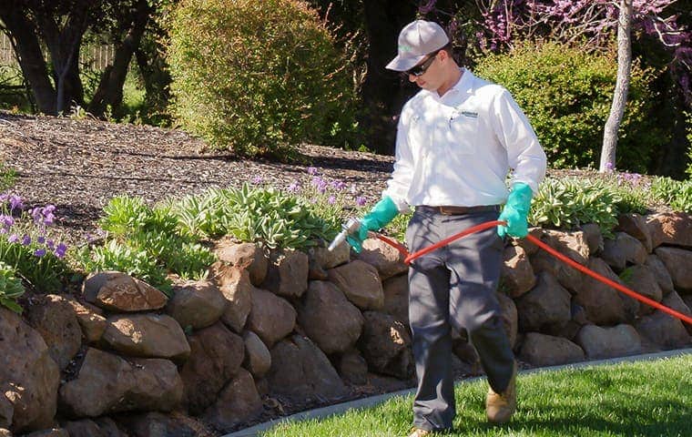 service technician treating a rock wall in sacramento california