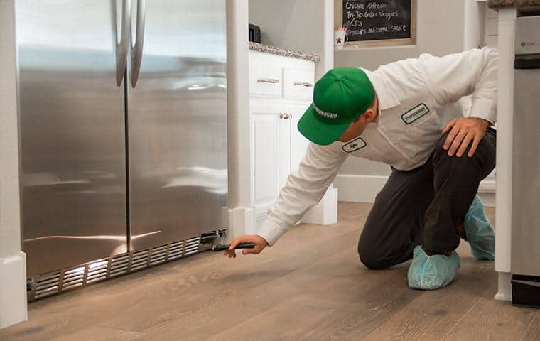 a service technician looking under the refrigerator in a california home