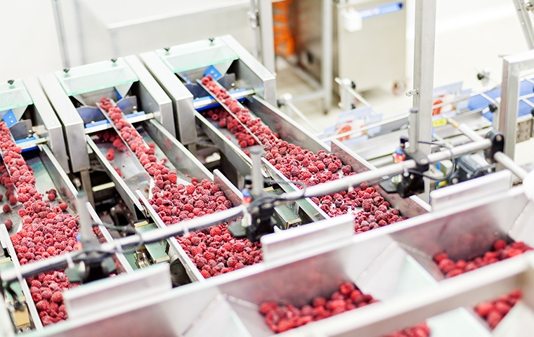 interior of a food processing facility