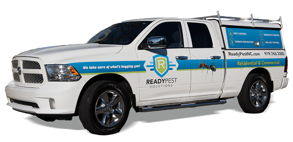 Readypest white can facing left with blue accents and logo on side of truck