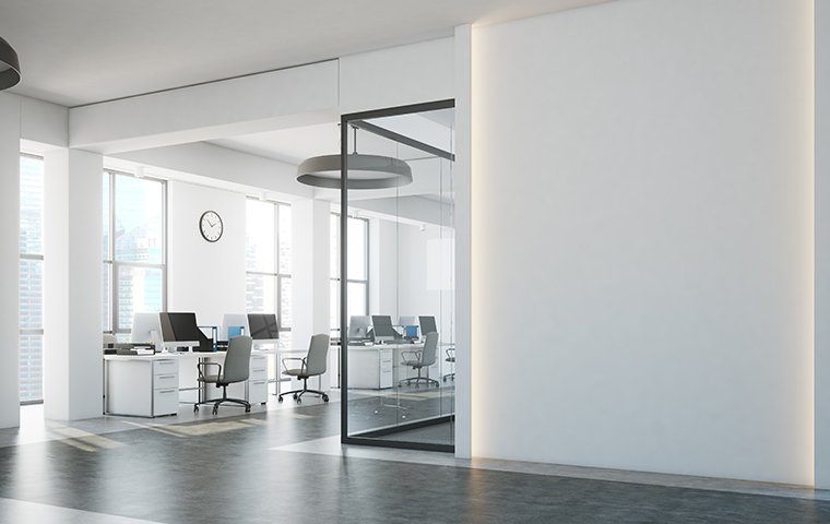 clean white offices