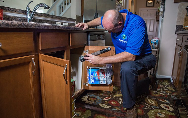 technician inspecting under kitchen sink