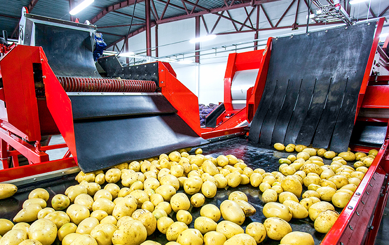 Ensure A Sanitary Environment interior view of a potato processing building in montgomery county pennsylvania