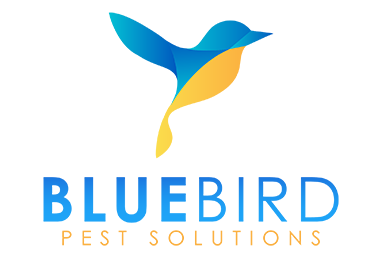 bluebird pest solutions logo