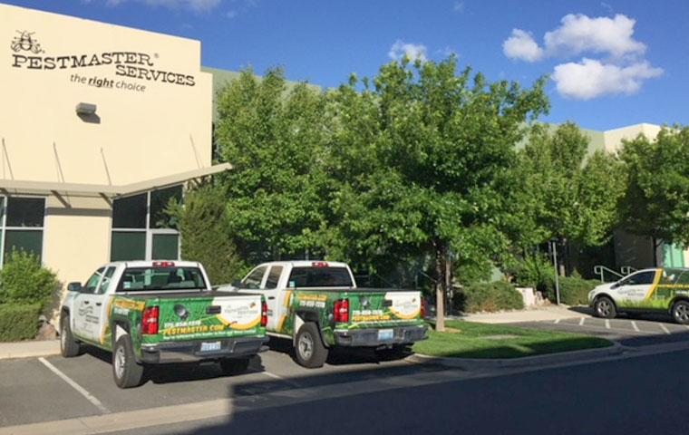 a parking lot with pestmaster services vehicles in it
