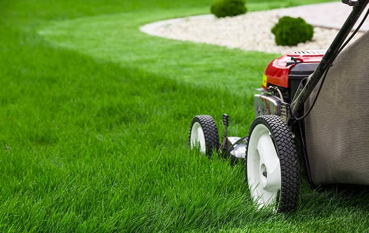 Cantu Pest Control Is Safe For The Environment professional lawn care outside of a home in texas