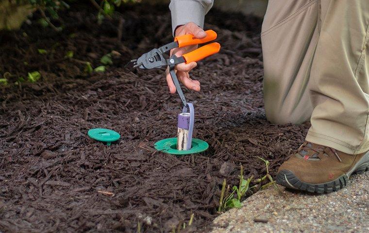 a cantu pest and termite service technician installing a termite bait station in the ground outside of a home in dallas texas
