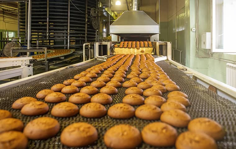 Pests Create A Contamination Risk For Food a food processing facility in dallas texas
