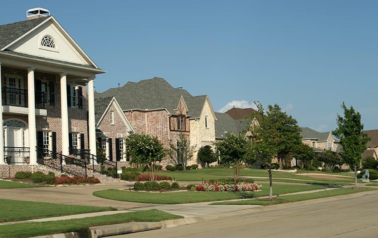 Protect Your Dallas, TX Home From Invasive Pests street view of a suburban neighborhood in dallas texas