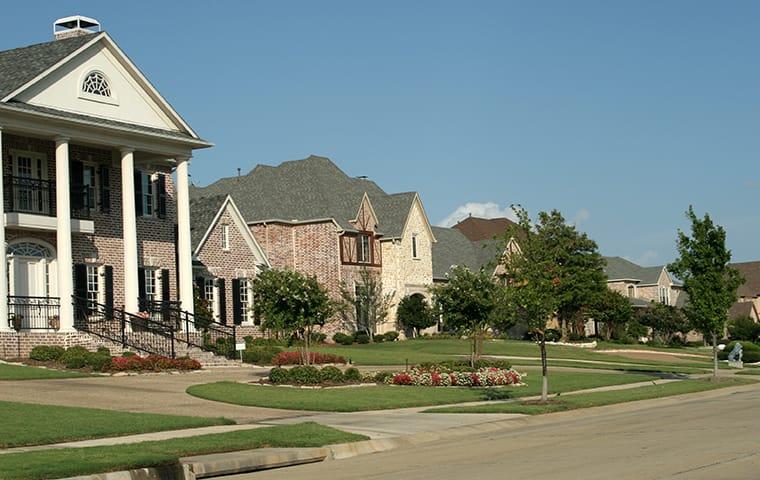 street view of a suburban neighborhood in dallas texas