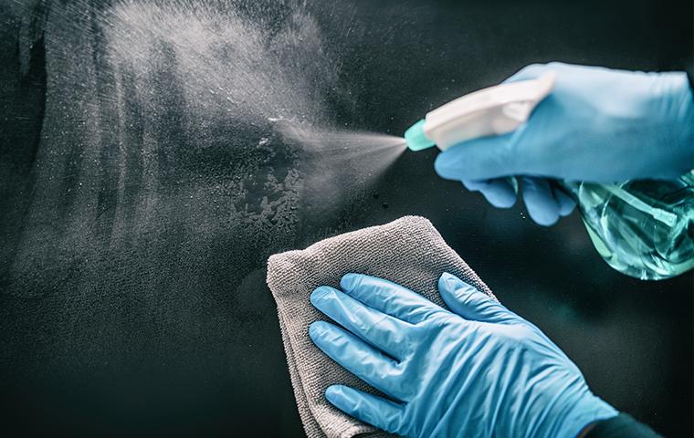 gloved hands spraying disinfectant on window