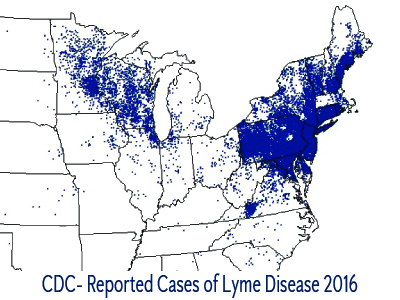 cdc map of lyme disease cases in area in 2016