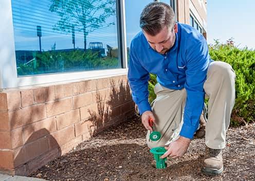 installing termite protection