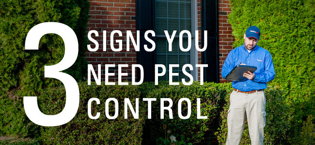 maryland pest control technician inspecting home