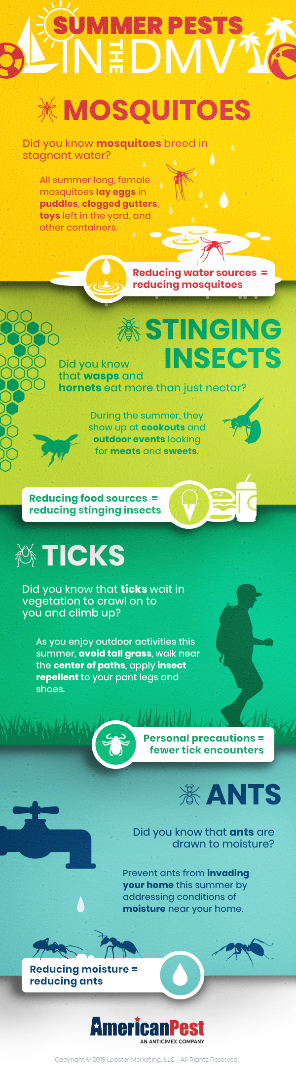 Summer Pests In The DMV Infographic