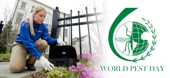 world pest day logo with american pest employee setting a rodent bait box