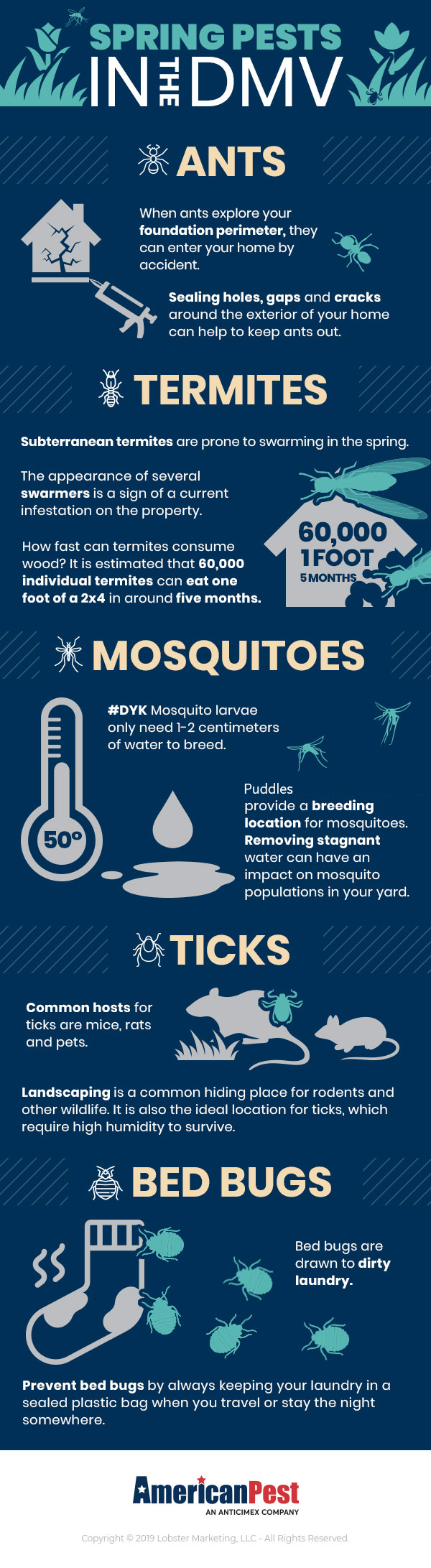Spring Pests In The DMV Infographic about ants termites mosquitoes ticks and bed bugs 