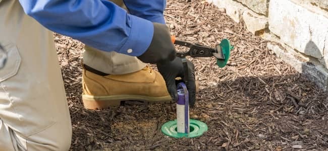 termite control technician checking bait station