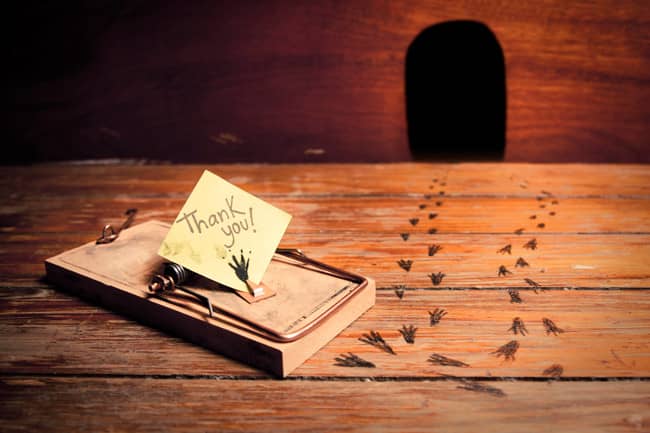 Our List Of The Different Types Of Store Bought Mouse Traps thank you note from mice in mouse trap