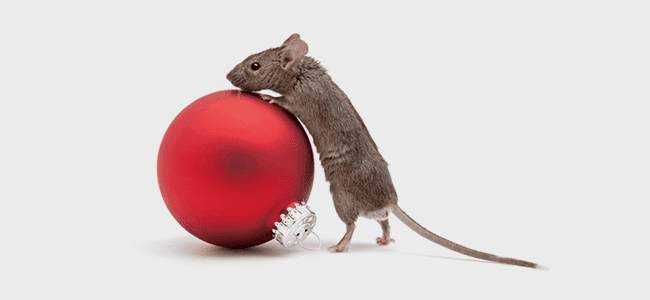 christmas mouse