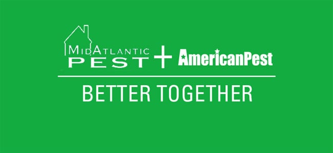 midatlantic pest and american pest partnership logo