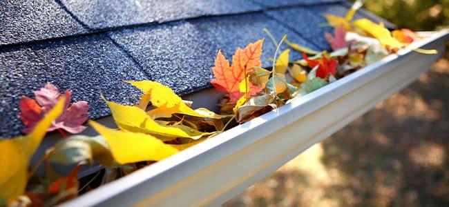 clogged gutter on maryland home