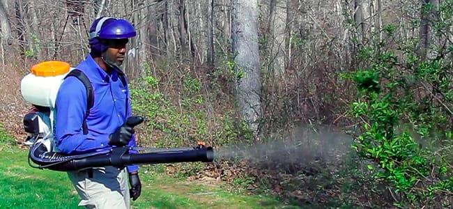 technician performing mosquito treatment